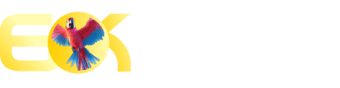 Hey link - Goldebet
